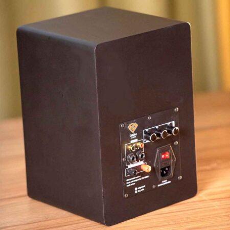 GA-MS55 monitorig speaker